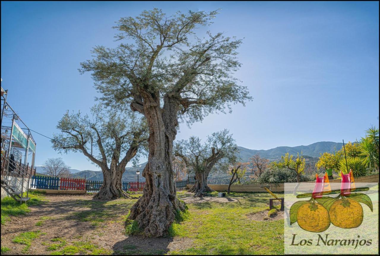 Hostal Y Apartamento Rural Los Naranjos Melegis ภายนอก รูปภาพ