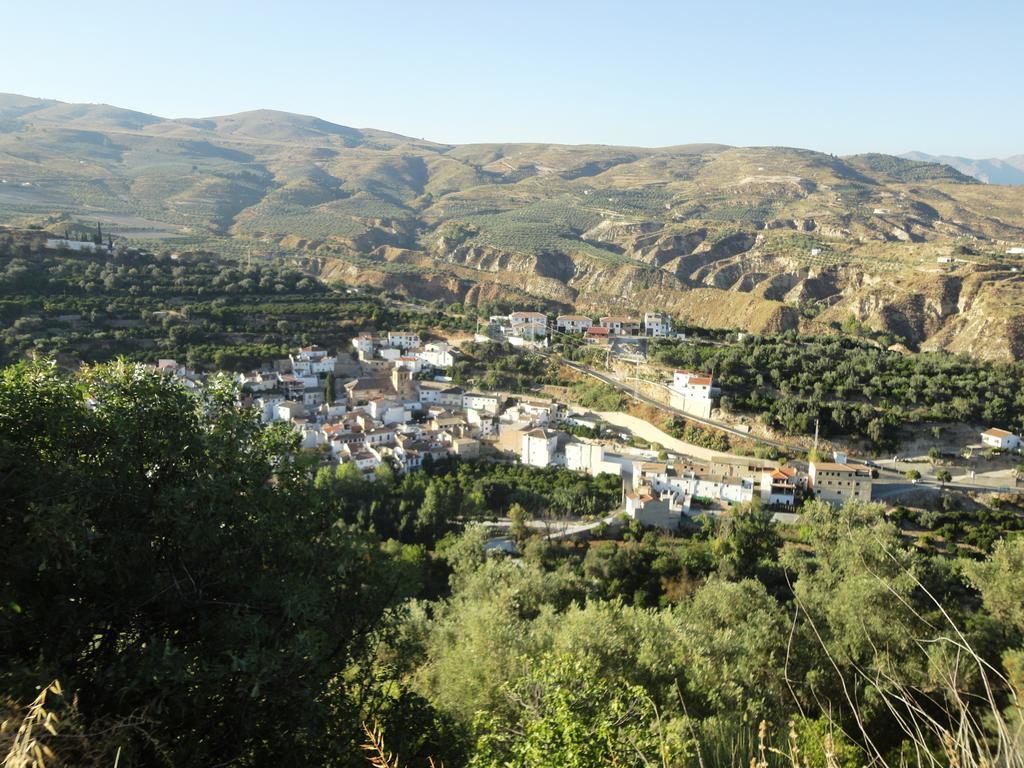 Hostal Y Apartamento Rural Los Naranjos Melegis ห้อง รูปภาพ