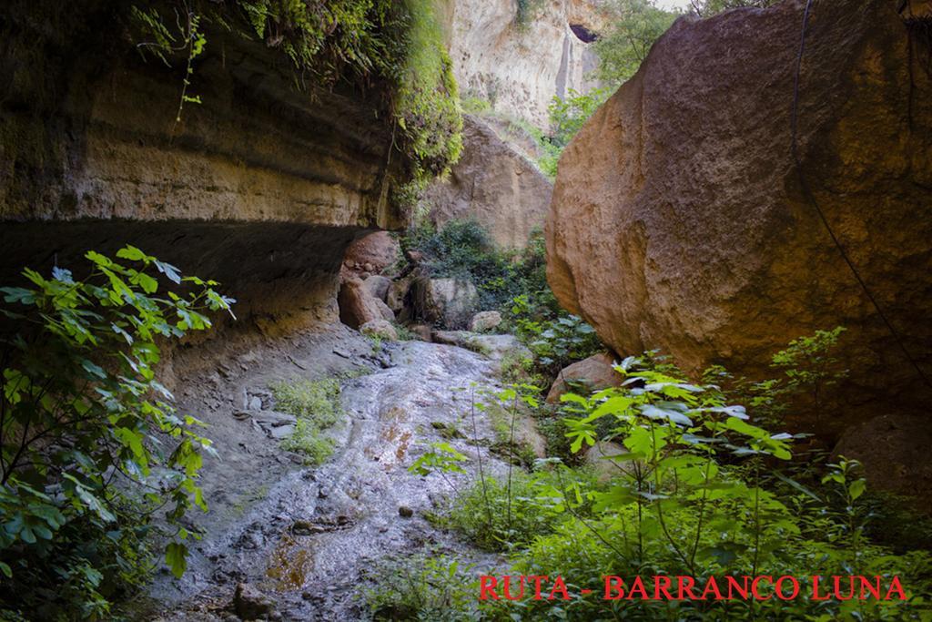 Hostal Y Apartamento Rural Los Naranjos Melegis ภายนอก รูปภาพ