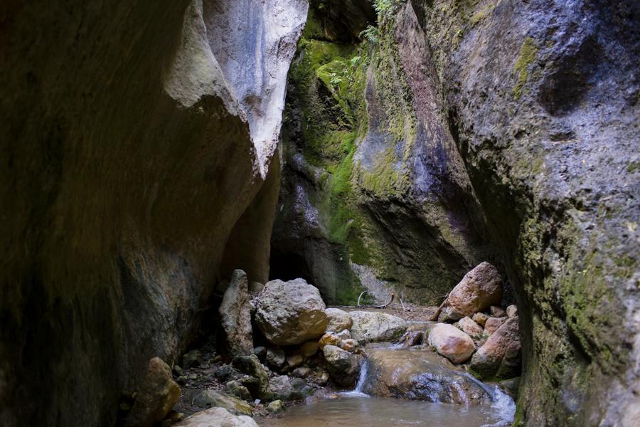 Hostal Y Apartamento Rural Los Naranjos Melegis ภายนอก รูปภาพ